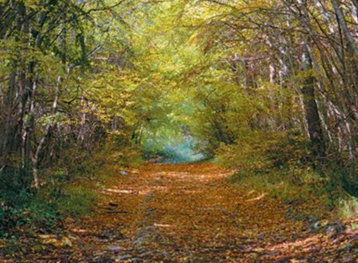 Kaiserwald Pula Extérieur photo